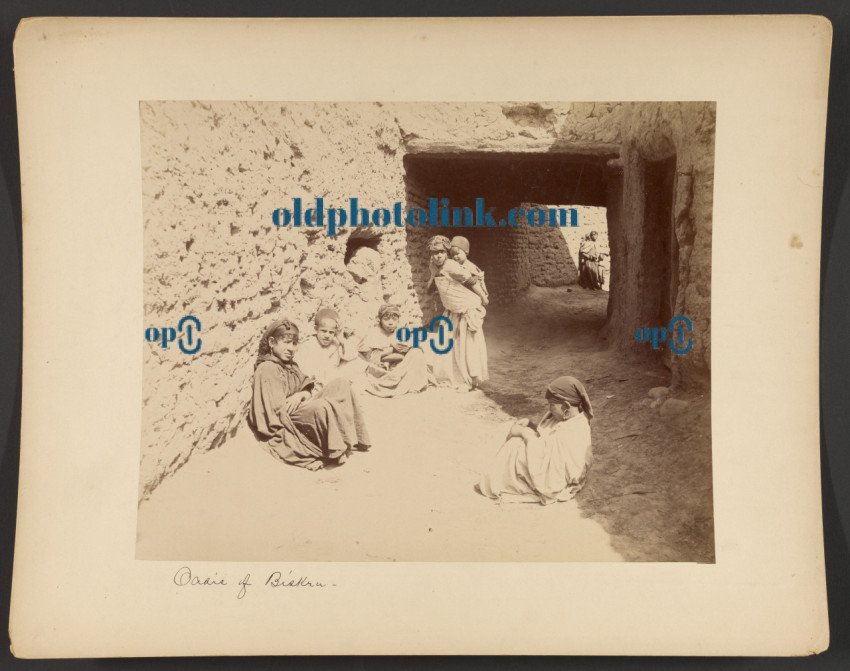 Oasis of Biskra 1870