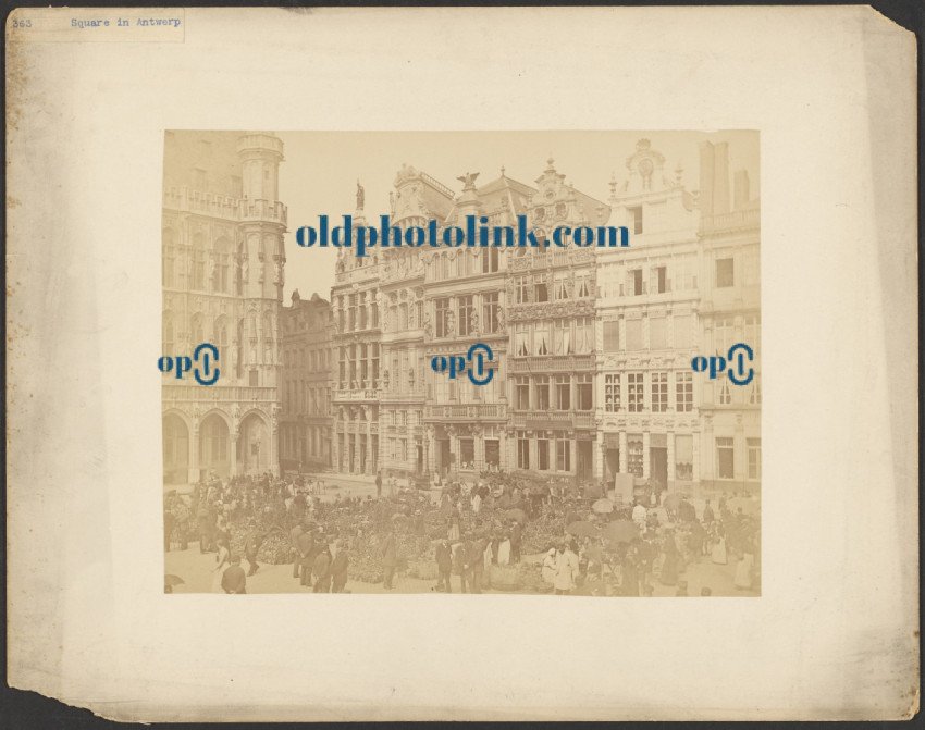 Flower market, Antwerp 1865