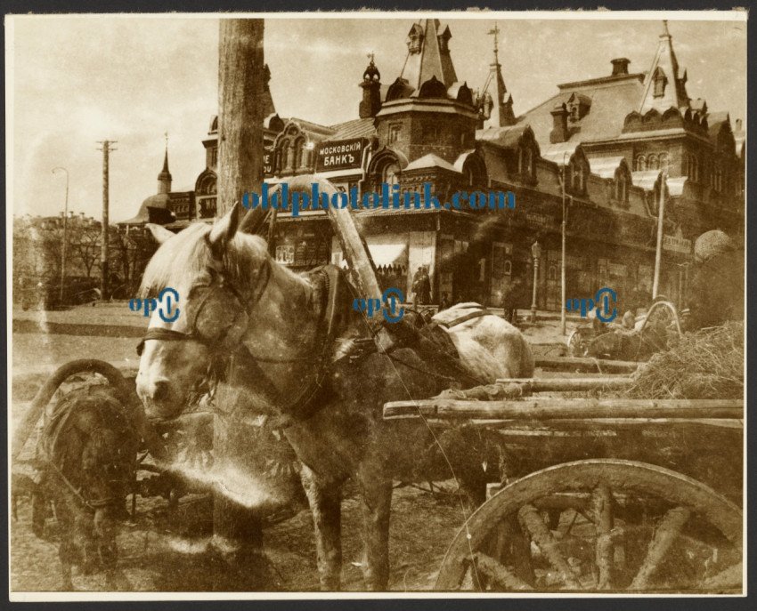 Photographs from the Study Trip to Russia Used for the Painting 1913