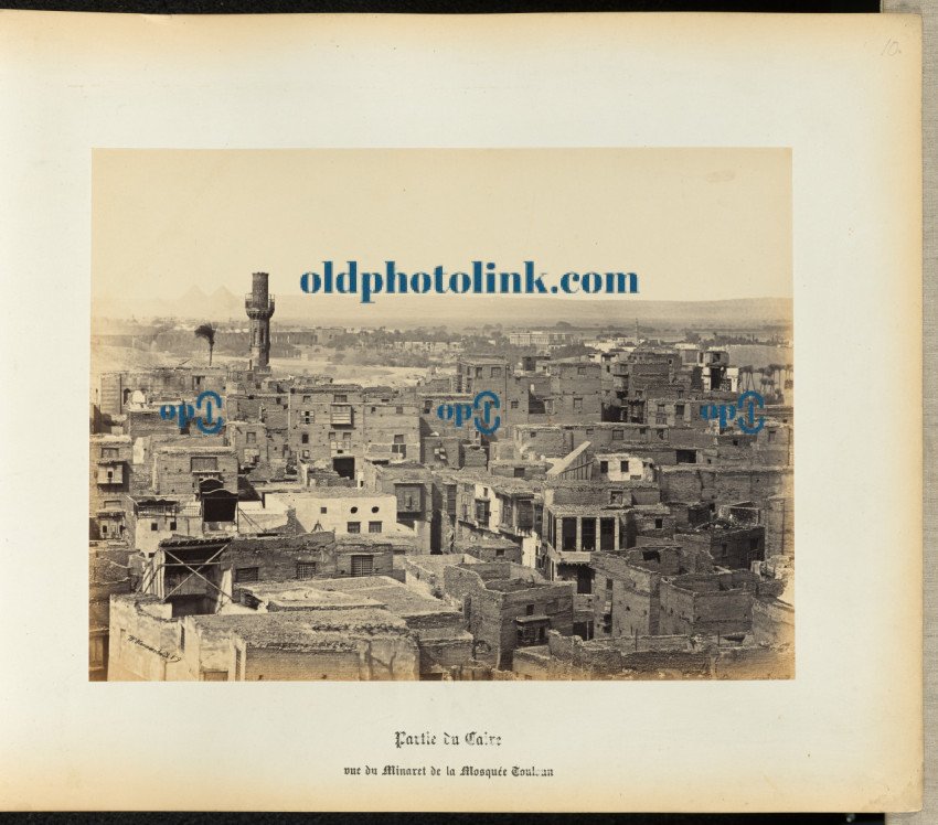 Portion of Cairo viewed from Mosque of Ibn Tulun's minaret 1860