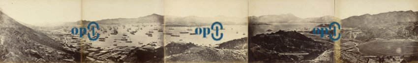 Panorama of Hong Kong, taken from Happy Valley 1860