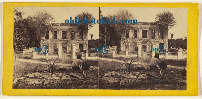 The Ruins of the Bishop's Garden  Havana  1860