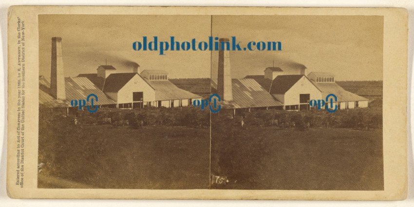 Plantation View  Sugar Mill in operation, with piles of cane  1860