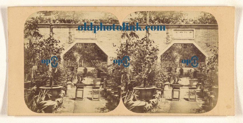 Canton  Garden of Kota 1861