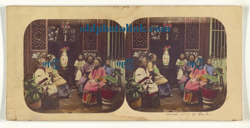 Canton  Group of Chinese Ladies of Rank, Dressed in Evening Costume , 1858