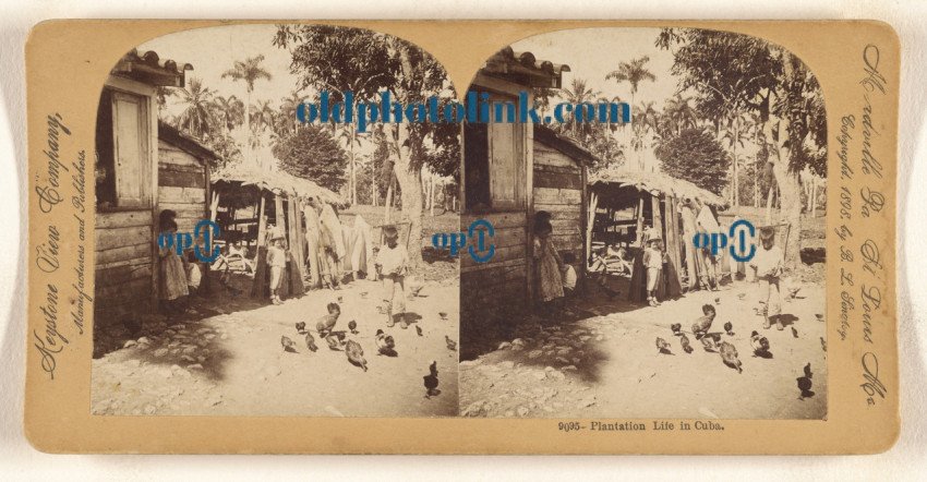 Plantation Life in Cuba  1898