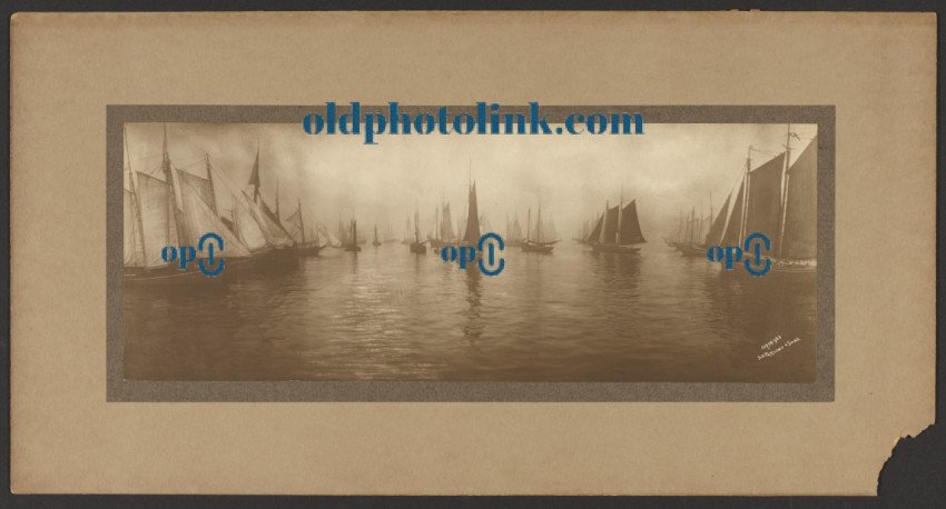 Sailboats in harbor 1901