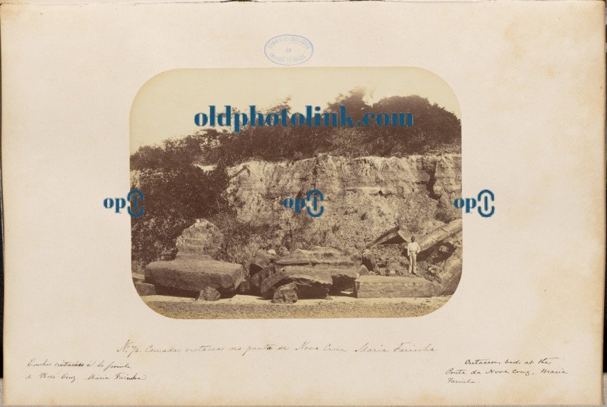 Cretaceous layers at the tip of Nova Cruz, Maria Farinha 1875