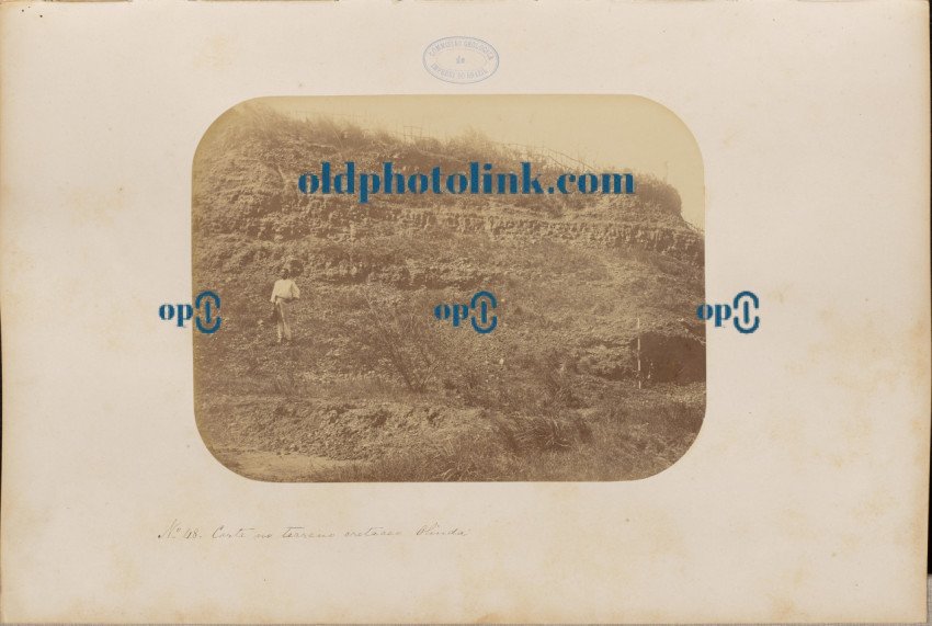 Corte no terreno cretaceo Olinda 1875