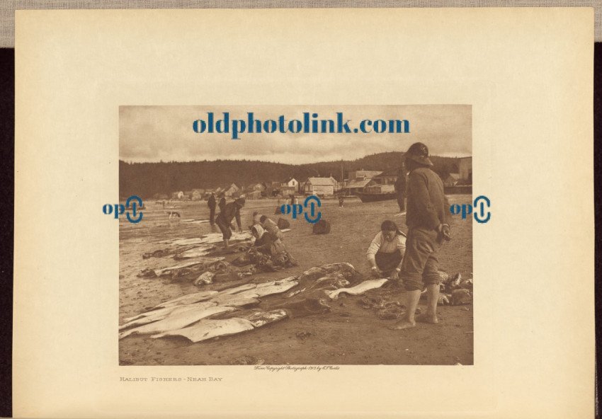 Halibut Fishers   Neah Bay 1915