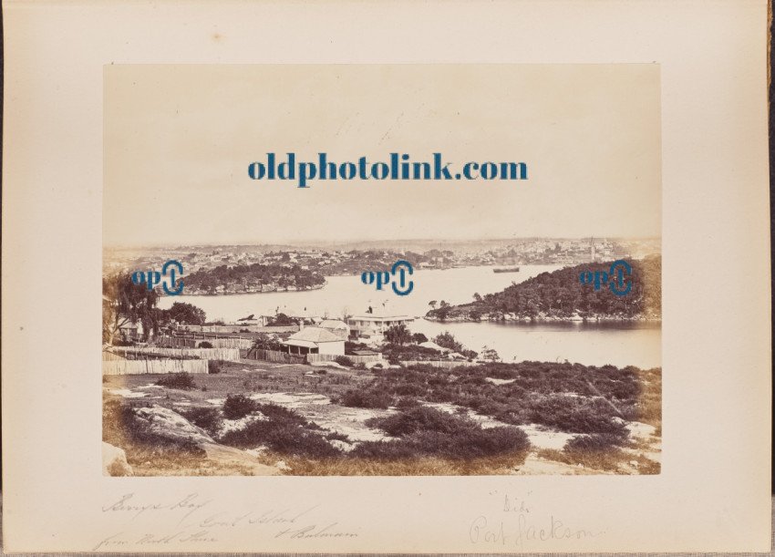 Berrys Bay, Goat Island, and Balmain, from North Shore 1860
