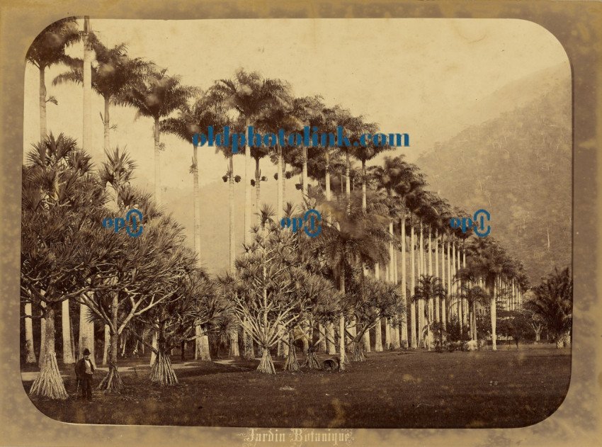 Jardin Botanique 1860