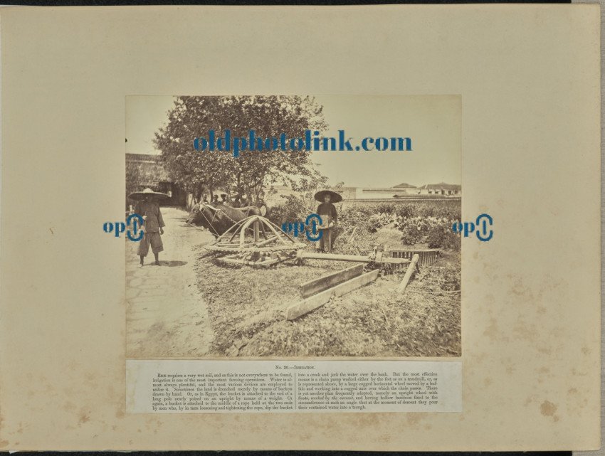 Irrigation 1870