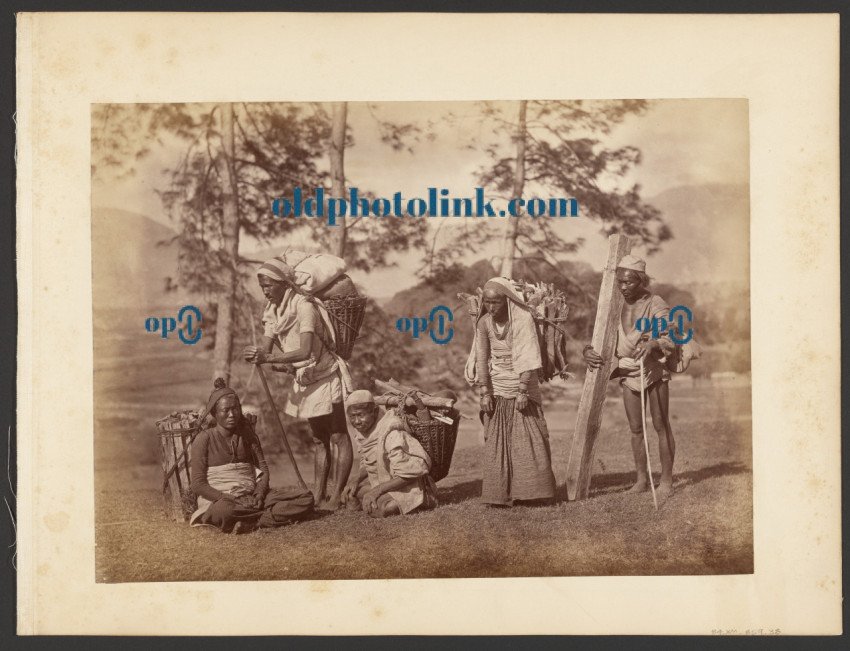 Group of men carrying baskets 1872