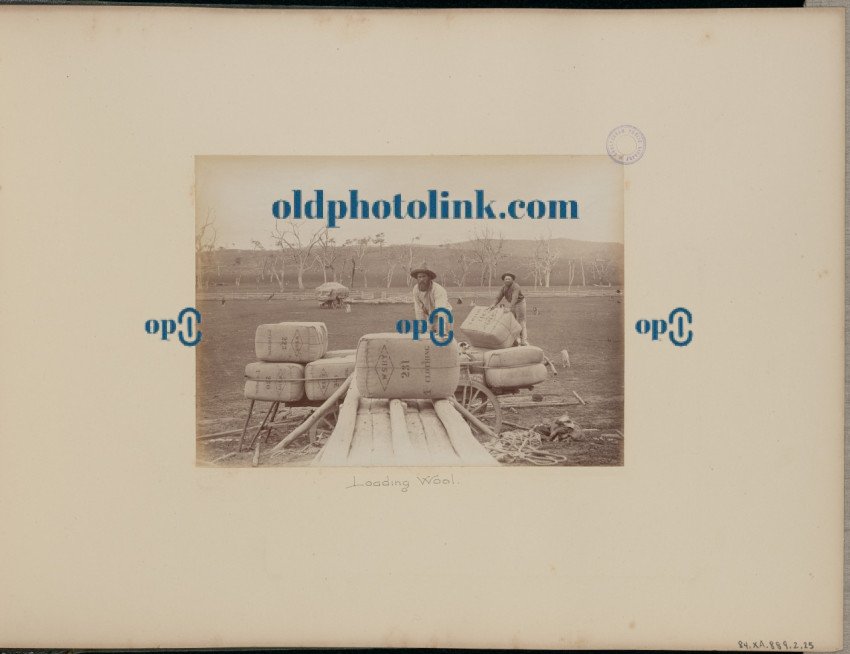Loading Wool 1887