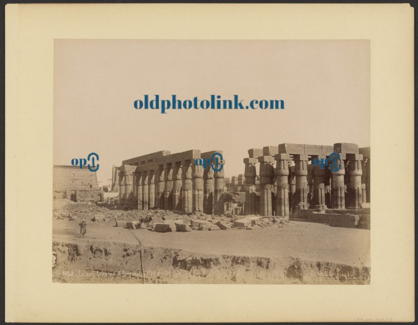 (Luxor) Columns of Amenhotep III (18th dynasty) 1870