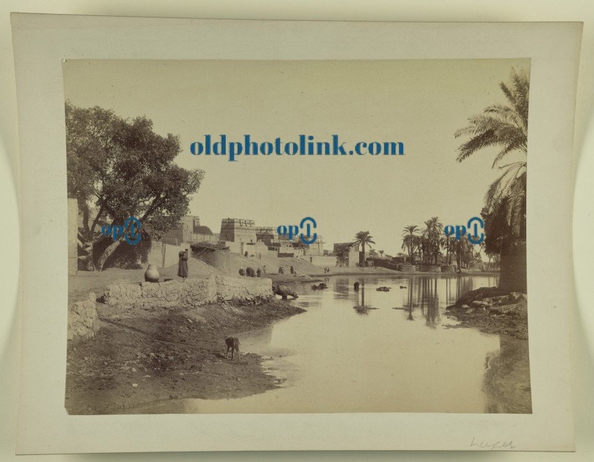 Luxor temple 1865