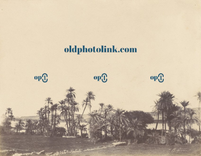 Banks of the Nile, Kalabsché 1853