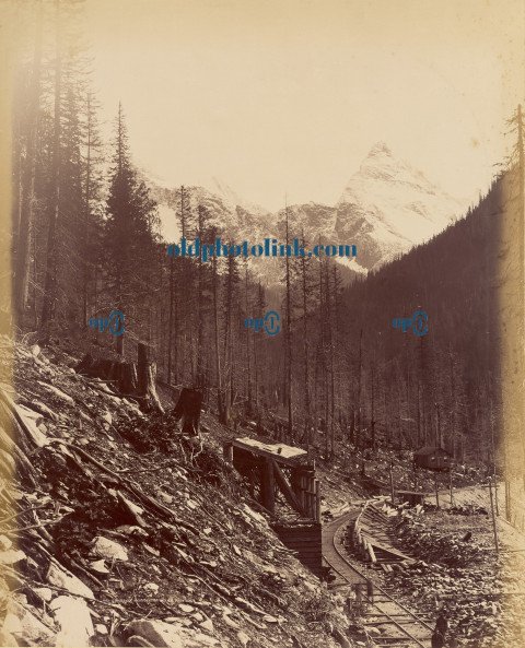 Eagle Peak and Mount Sir Donald from Loop 1887