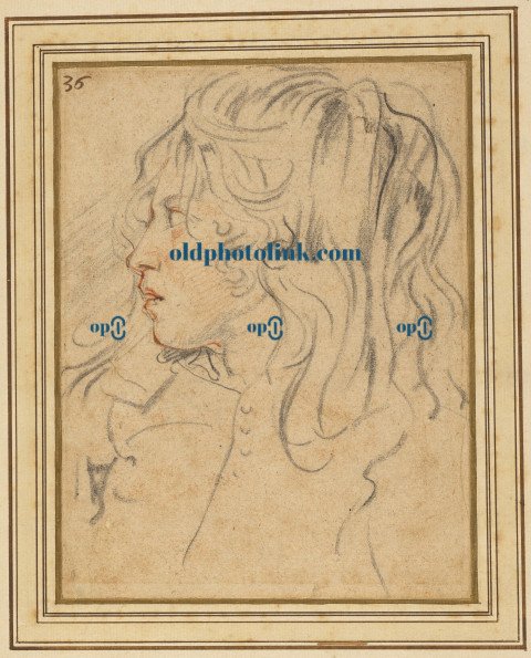 Head of a Young Boy 1658