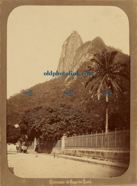 Hunchback of Largo dos Levés 1875