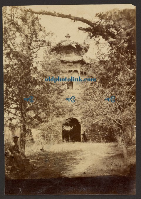 Tall Chinese building seen through trees and long grass  1880