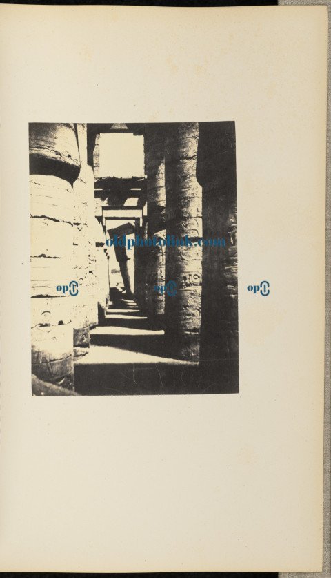 Interior view of a hypostyle hall 1859