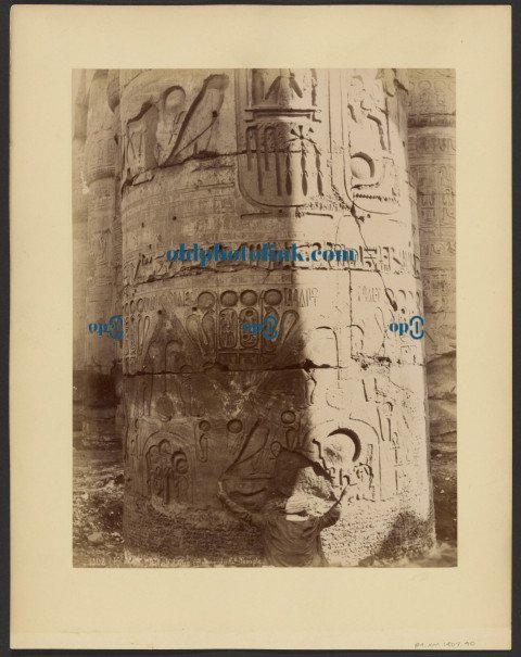 (Karnak) Detail d'une colonnne du Col Temple 1870