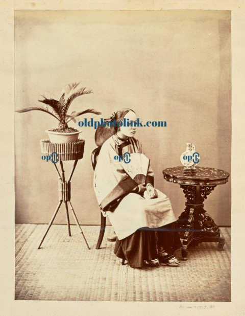 Studio portrait of a seated young woman holding a fan  1860