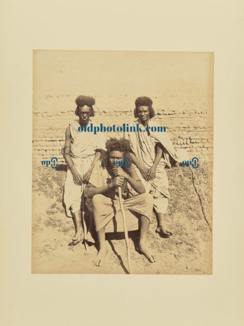 Group Portrait of Beja Men 1870