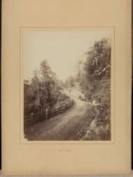 Bulli Pass 1885