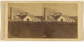 Plantation View  Sugar Mill in operation, with piles of cane  1860