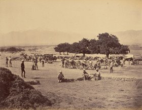 Safed Sang Camp scene IC R H A  1878