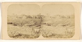 Views in China Canton 1860